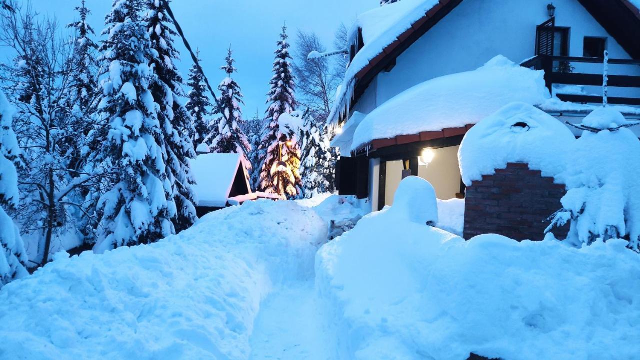 Uki & Sofi Mountain House Hotel Kopaonik Exterior photo