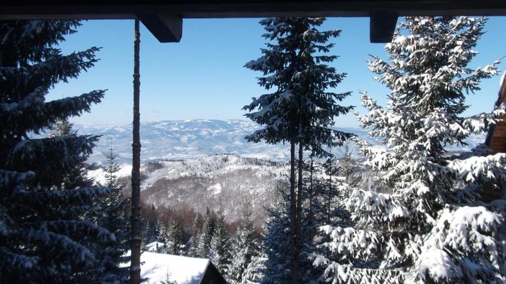 Uki & Sofi Mountain House Hotel Kopaonik Exterior photo